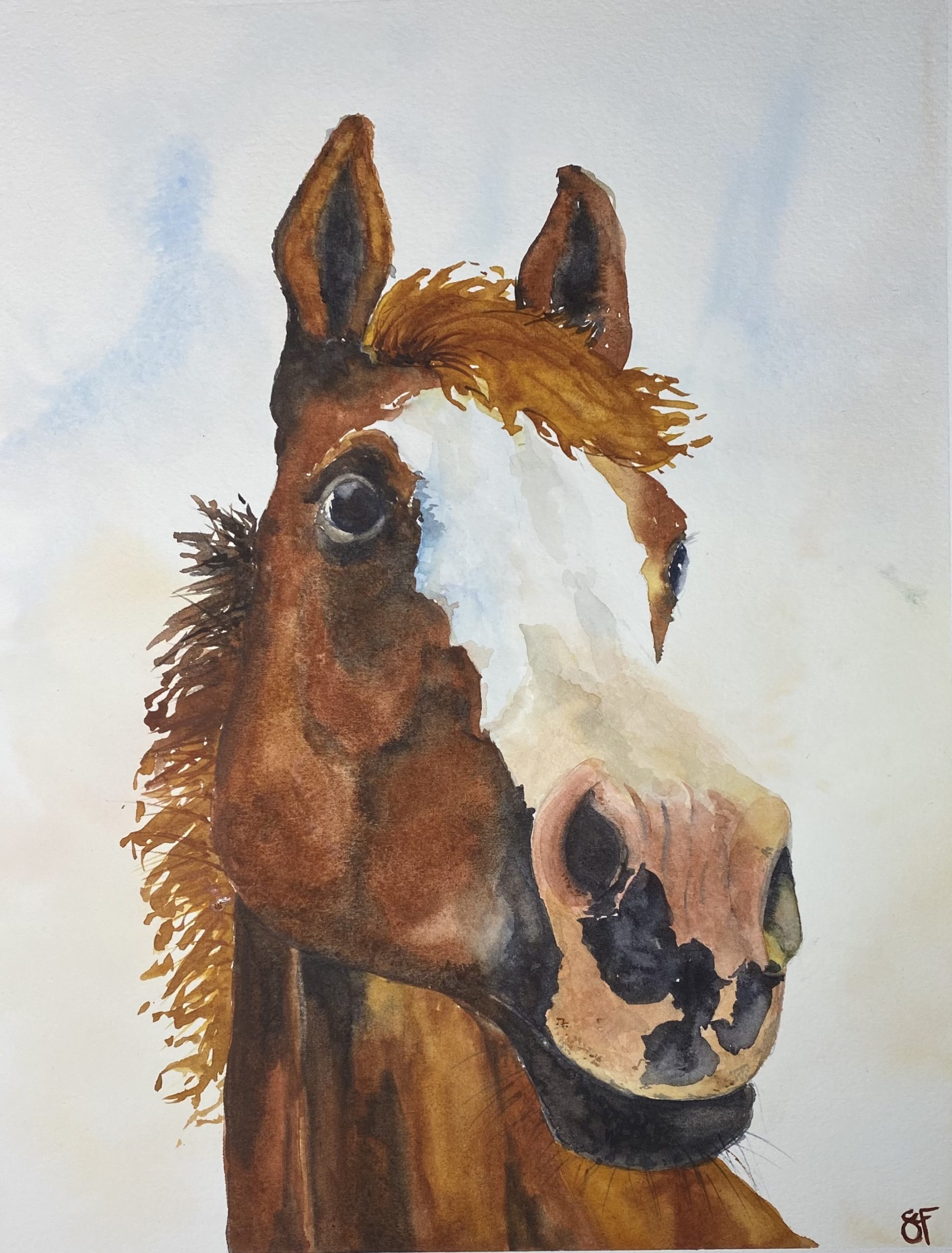 A Horse is a Horse *SOLD* watercolor on paper, horse portrait, head